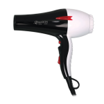 سشوار حرفه ای پرومارون مدل RL-8807